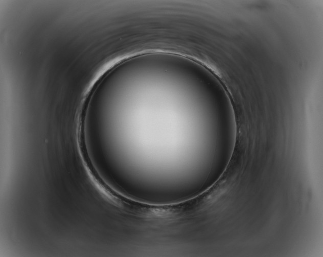 X0000086991523200704161457