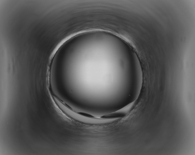 X0000086991524200704161457