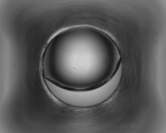 X0000086991526200704161457