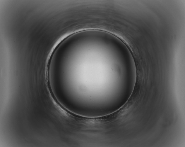 X0000086991527200704161457