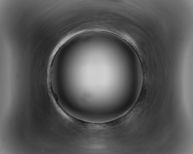 X0000086991528200704161457