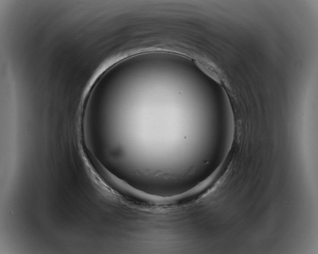X0000086991530200704161457