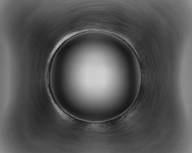 X0000086991531200704161457