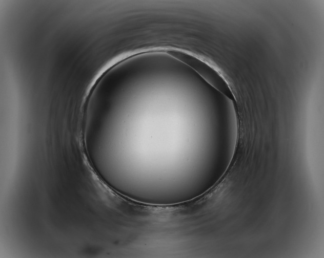 X0000086991534200704161457