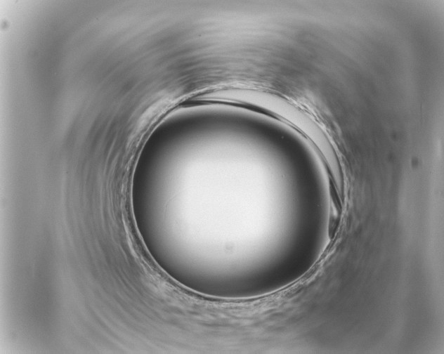 X0000086990001200704231856