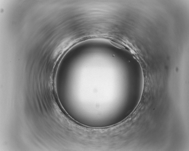 X0000086990002200704231856