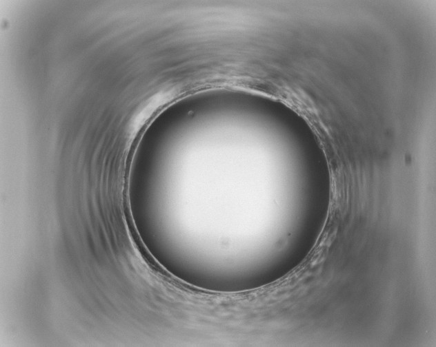 X0000086990003200704231856