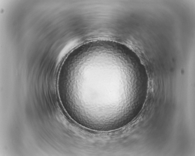 X0000086990004200704231856