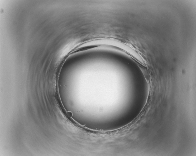 X0000086990005200704231856