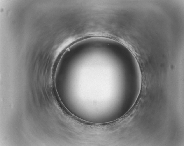 X0000086990008200704231856