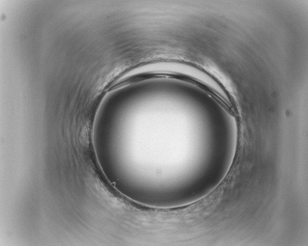 X0000086990009200704231856