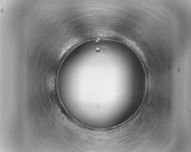 X0000086990010200704231856