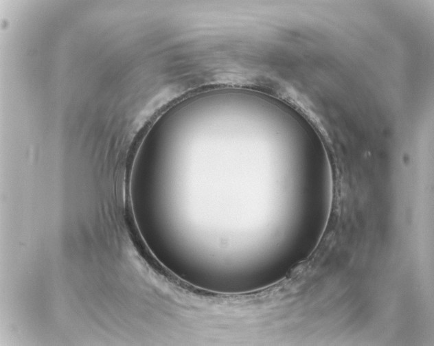 X0000086990011200704231856