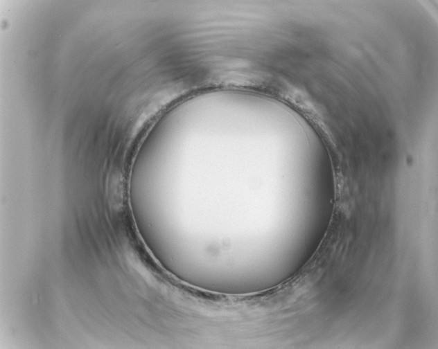 X0000086990012200704231856