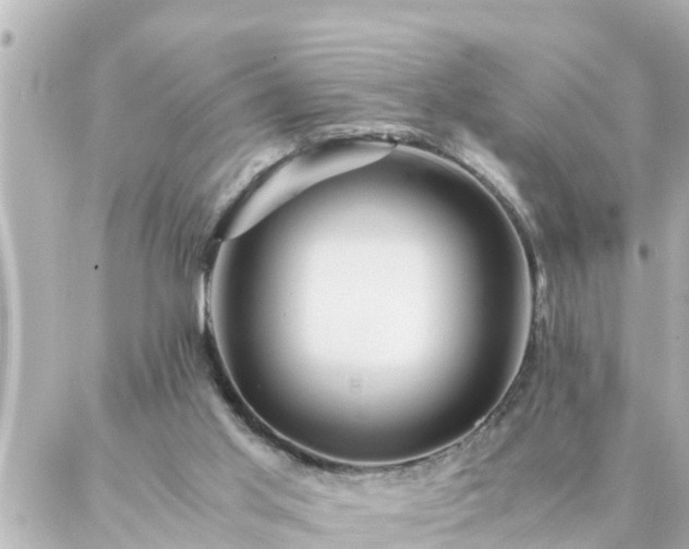 X0000086990013200704231856