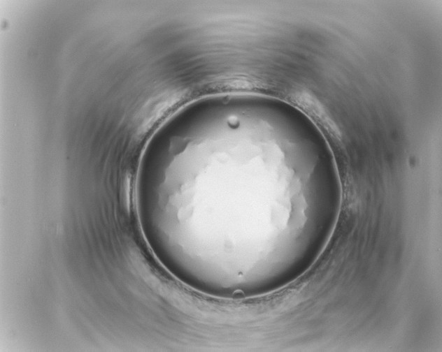 X0000086990014200704231856