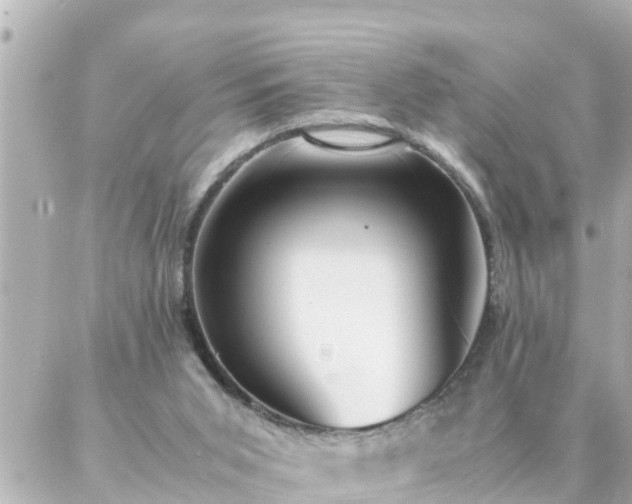 X0000086990015200704231856