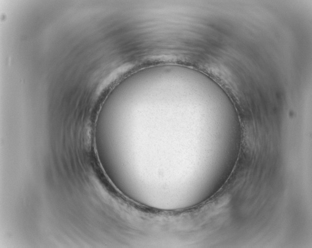 X0000086990016200704231856