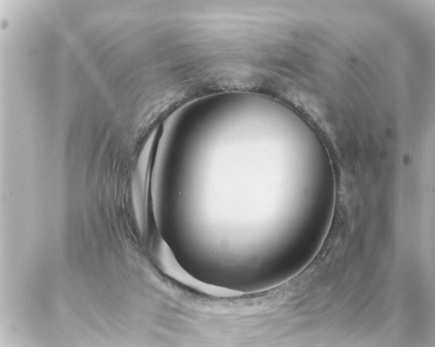 X0000086990017200704231856