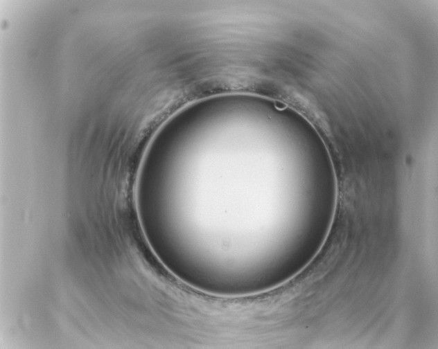 X0000086990018200704231856