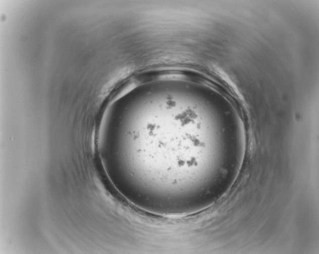 X0000086990019200704231856