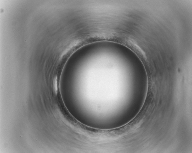 X0000086990020200704231856