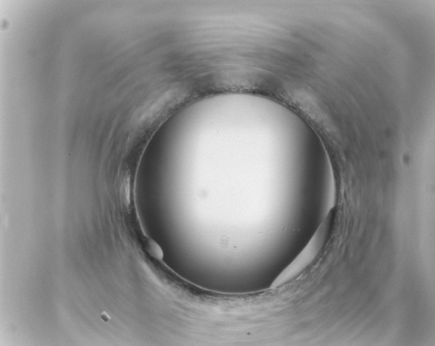 X0000086990021200704231856