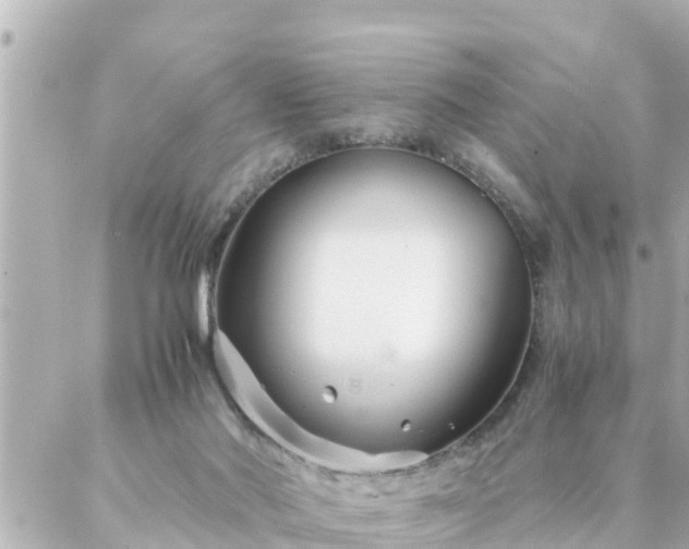 X0000086990022200704231856