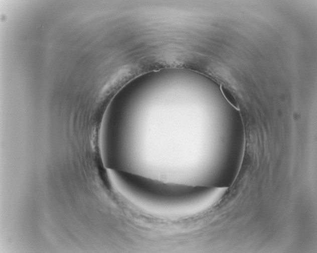 X0000086990023200704231856