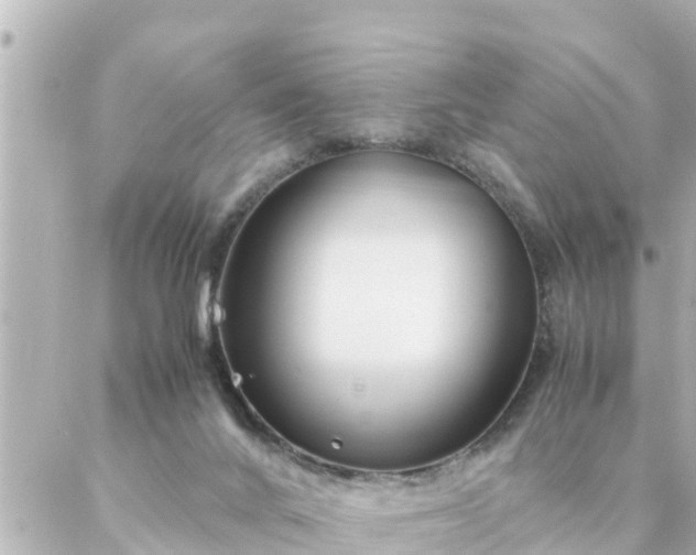 X0000086990024200704231856