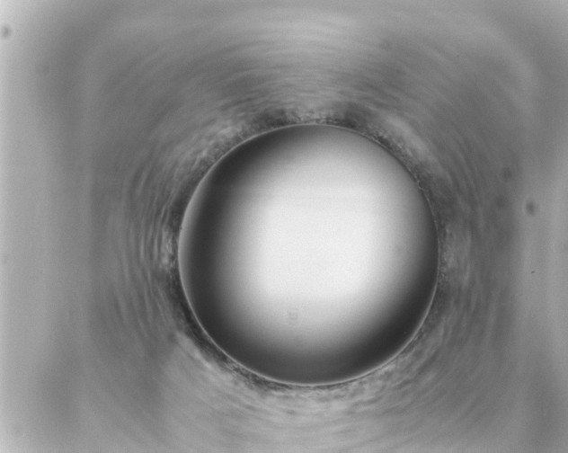 X0000086990025200704231856