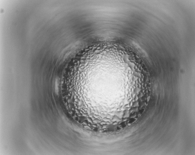 X0000086990026200704231856