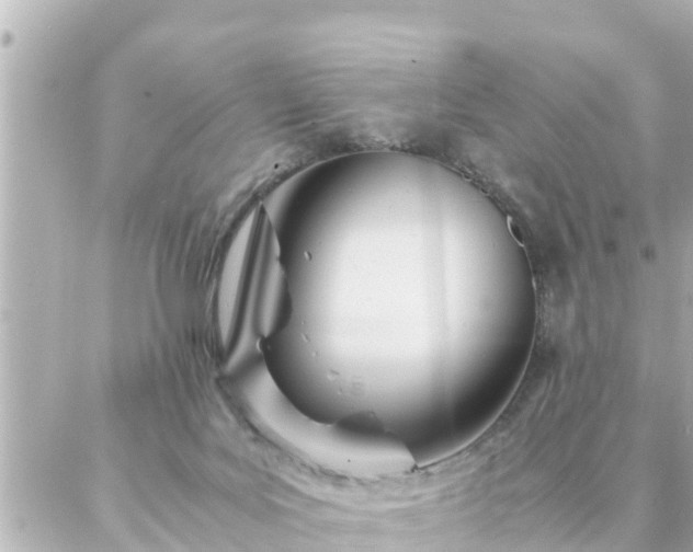 X0000086990027200704231856