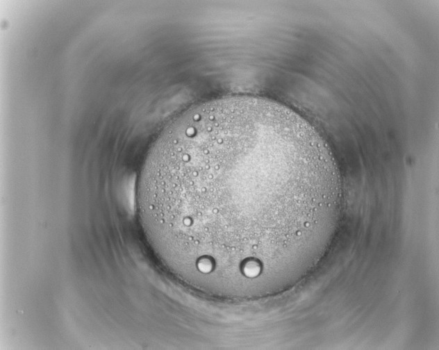 X0000086990028200704231856