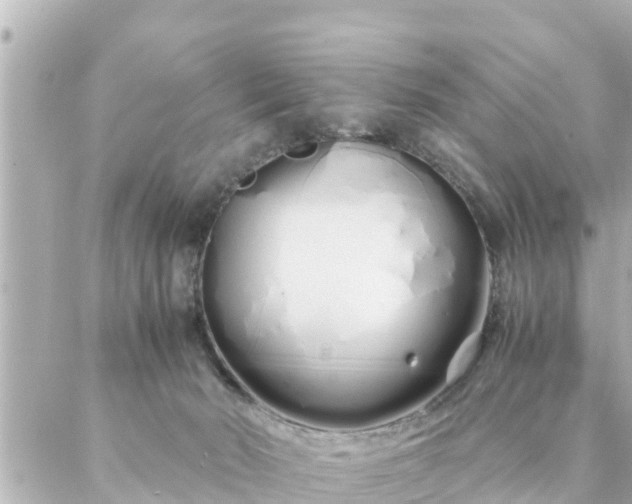 X0000086990030200704231856