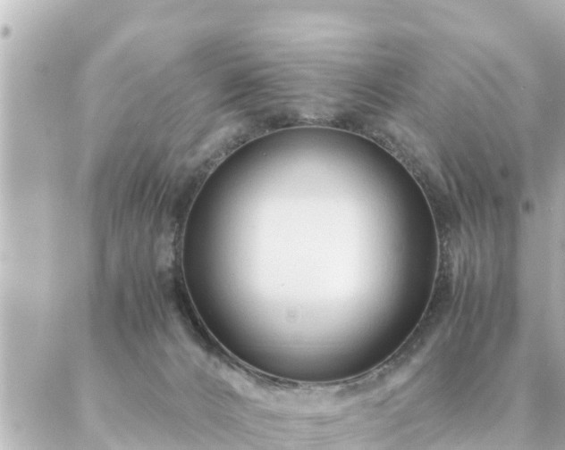 X0000086990032200704231856