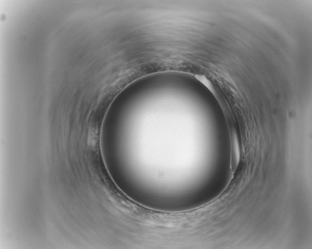 X0000086990033200704231856