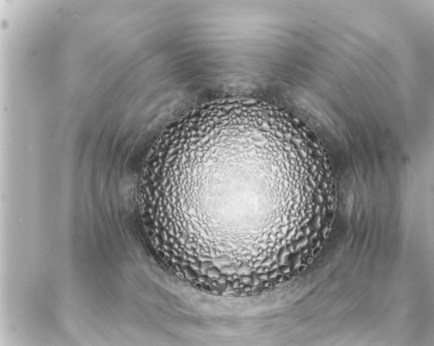 X0000086990034200704231856