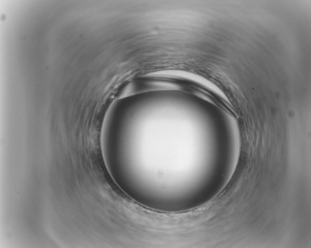 X0000086990035200704231856