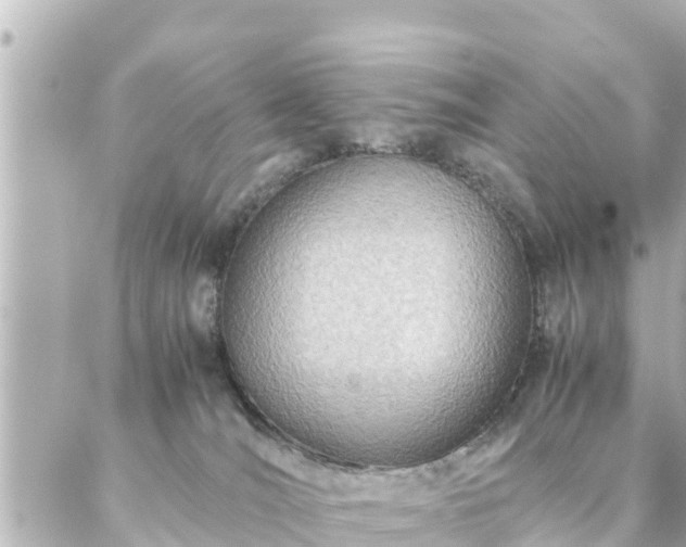 X0000086990036200704231856