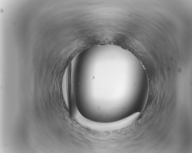 X0000086990037200704231856