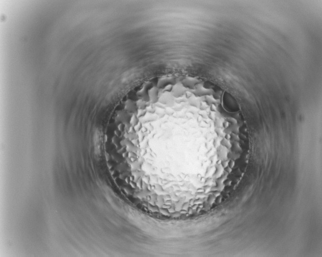 X0000086990038200704231856