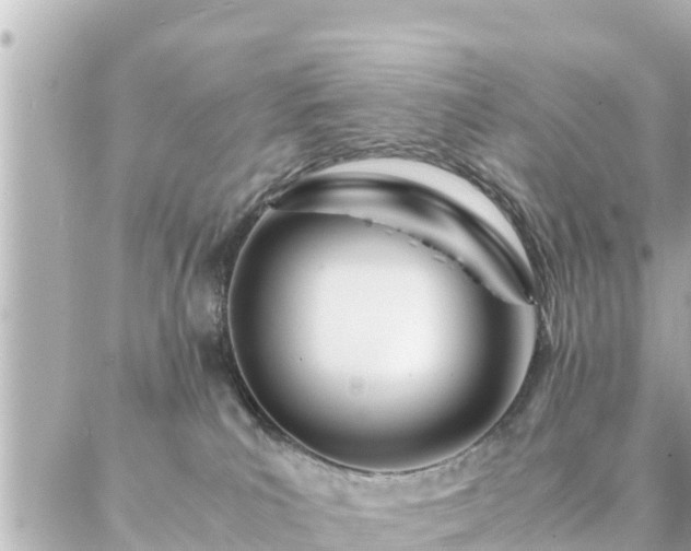 X0000086990039200704231856