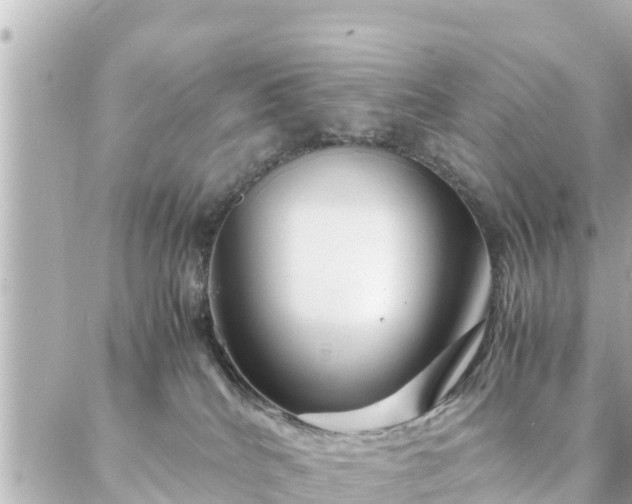 X0000086990040200704231856