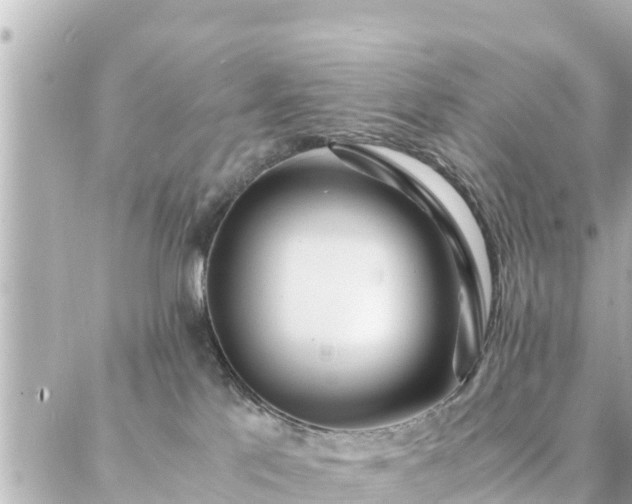 X0000086990041200704231856