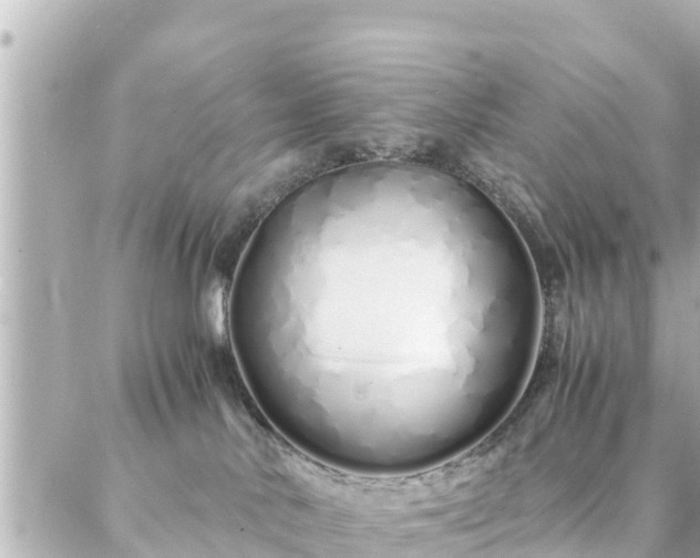 X0000086990042200704231856