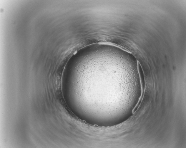 X0000086990043200704231856