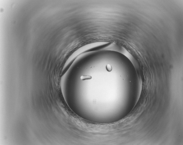 X0000086990044200704231856