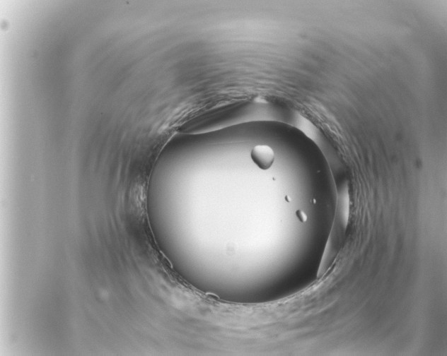 X0000086990045200704231856