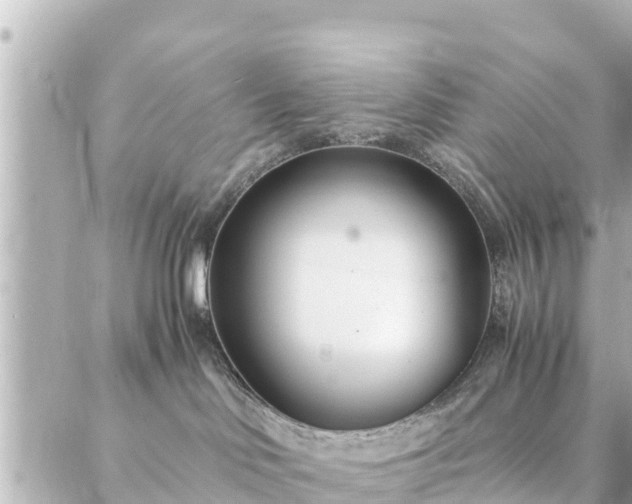 X0000086990046200704231856